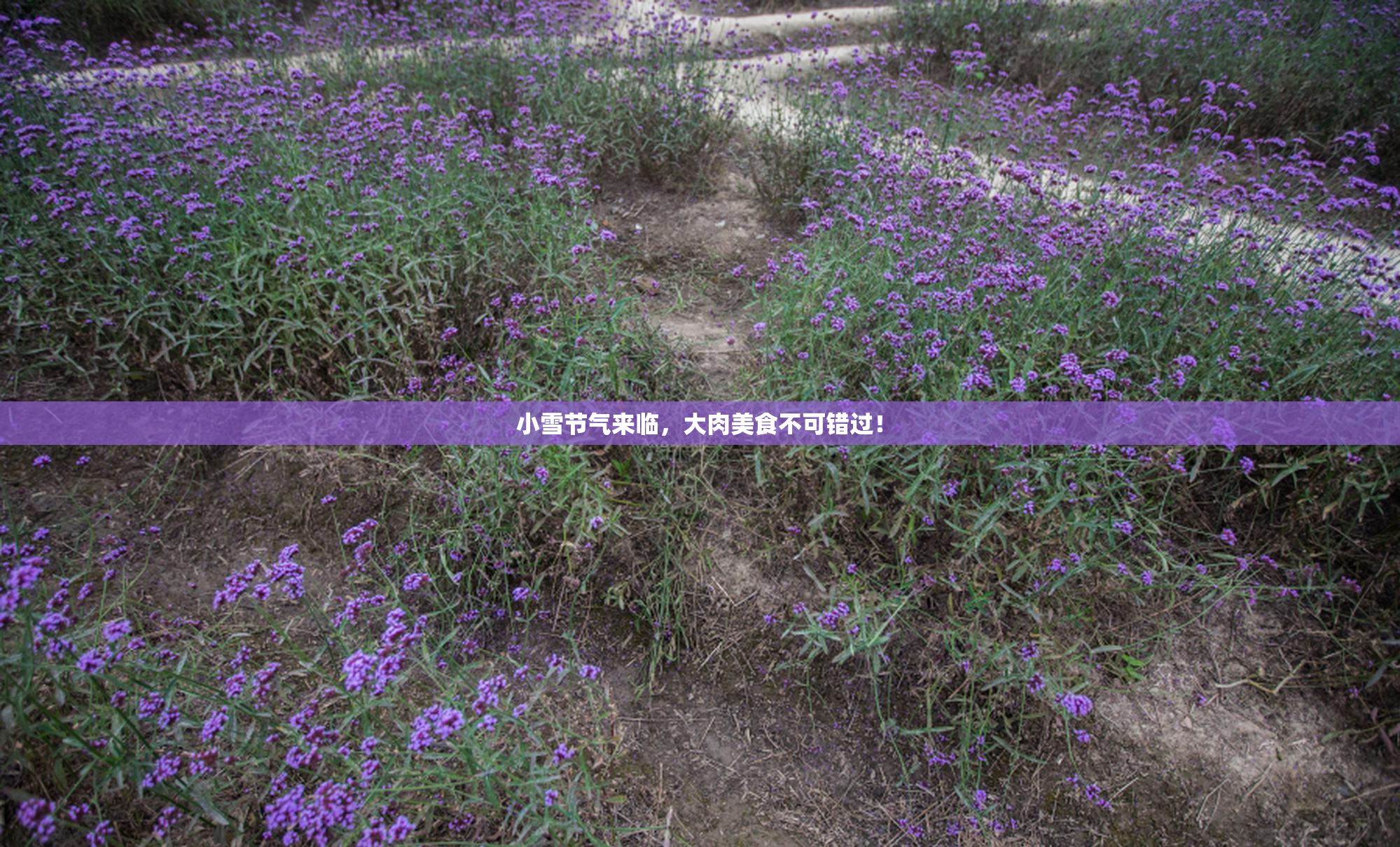 小雪节气来临，大肉美食不可错过！