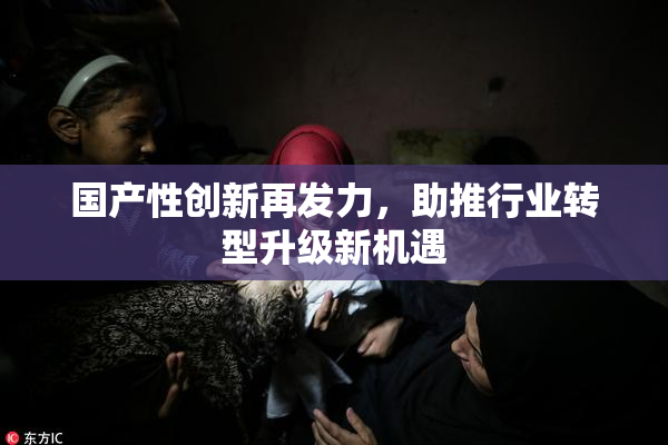 国产性创新再发力，助推行业转型升级新机遇