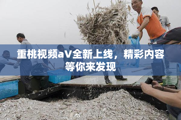 重桃视频aV全新上线，精彩内容等你来发现