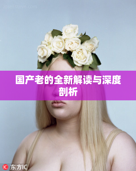 国产老的全新解读与深度剖析