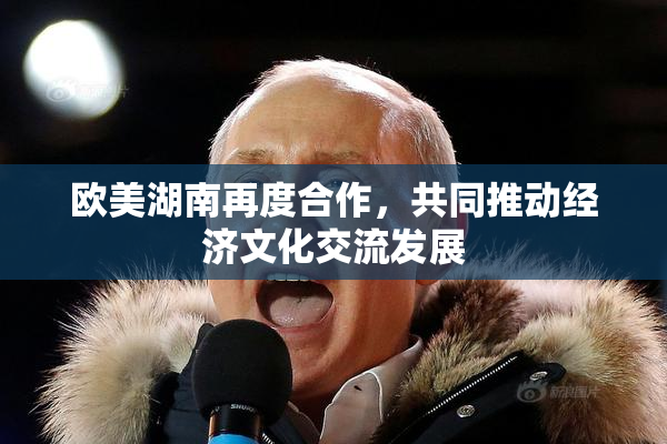 欧美湖南再度合作，共同推动经济文化交流发展