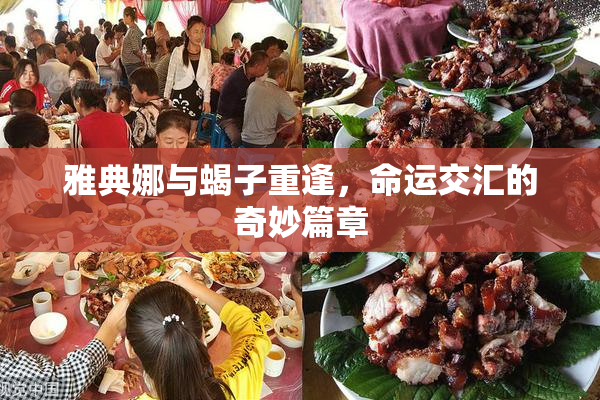 雅典娜与蝎子重逢，命运交汇的奇妙篇章