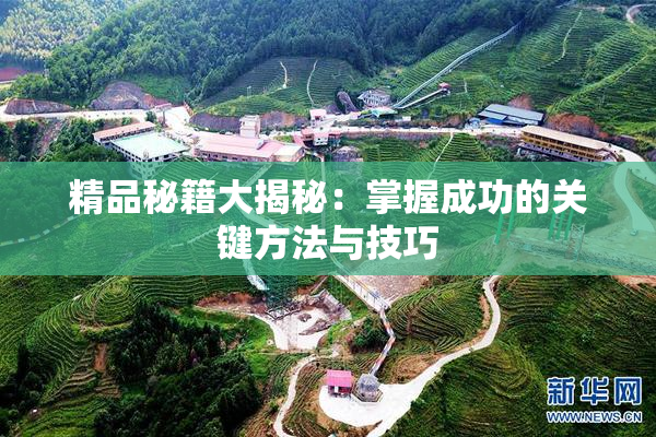 精品秘籍大揭秘：掌握成功的关键方法与技巧