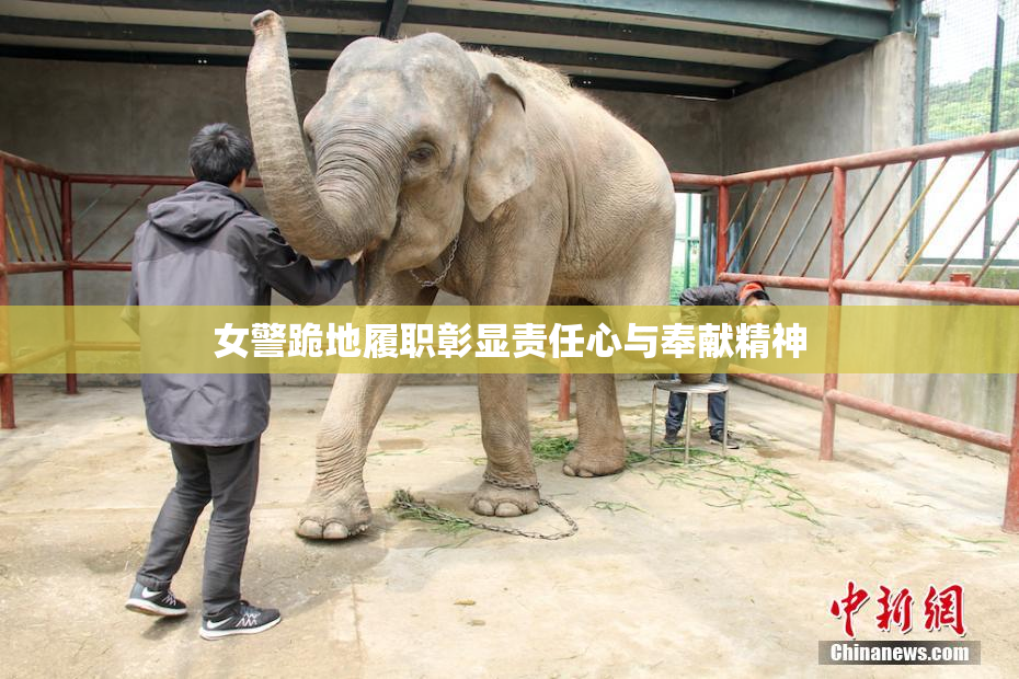 女警跪地履职彰显责任心与奉献精神