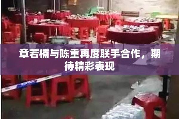 章若楠与陈重再度联手合作，期待精彩表现