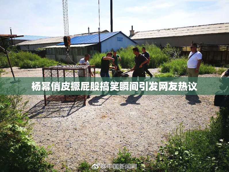 杨幂俏皮撅屁股搞笑瞬间引发网友热议