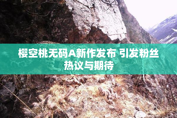 樱空桃无码A新作发布 引发粉丝热议与期待