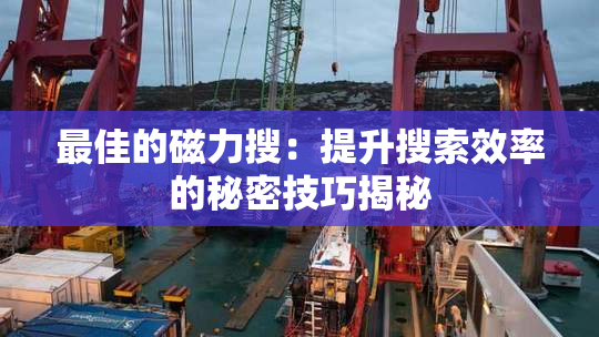 最佳的磁力搜：提升搜索效率的秘密技巧揭秘