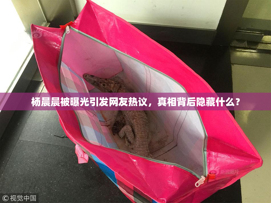 杨晨晨被曝光引发网友热议，真相背后隐藏什么？