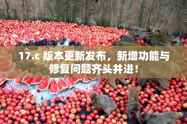 17.c 版本更新发布，新增功能与修复问题齐头并进！