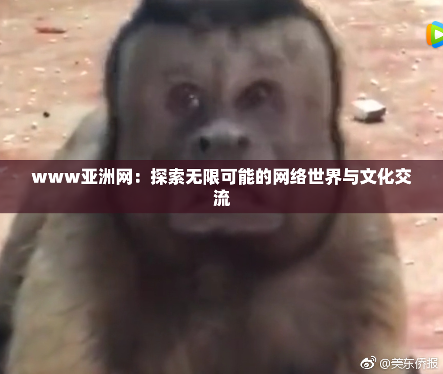 www亚洲网：探索无限可能的网络世界与文化交流