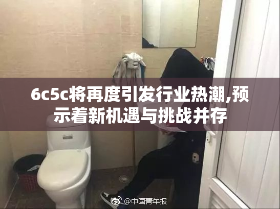 6c5c将再度引发行业热潮,预示着新机遇与挑战并存