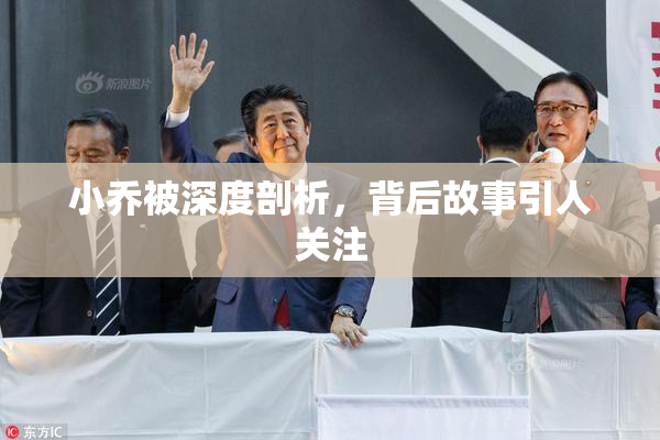 小乔被深度剖析，背后故事引人关注