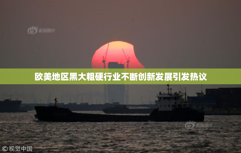 欧美地区黑大粗硬行业不断创新发展引发热议