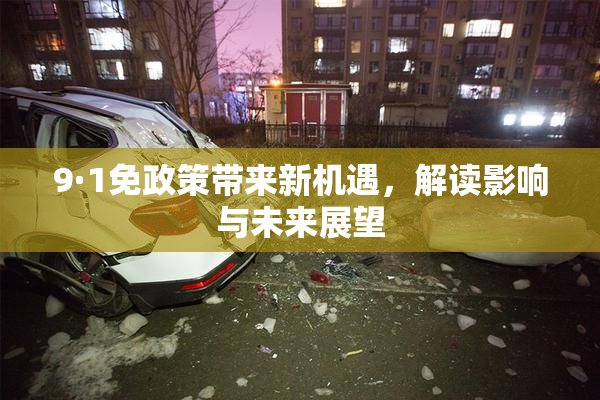 9·1免政策带来新机遇，解读影响与未来展望