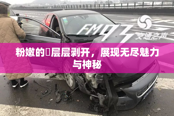 粉嫩的泬层层剥开，展现无尽魅力与神秘