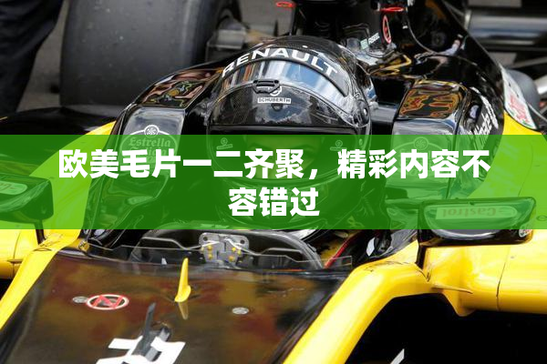 欧美毛片一二齐聚，精彩内容不容错过