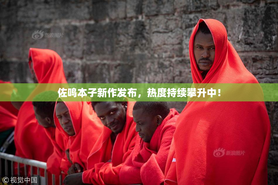佐鸣本子新作发布，热度持续攀升中！