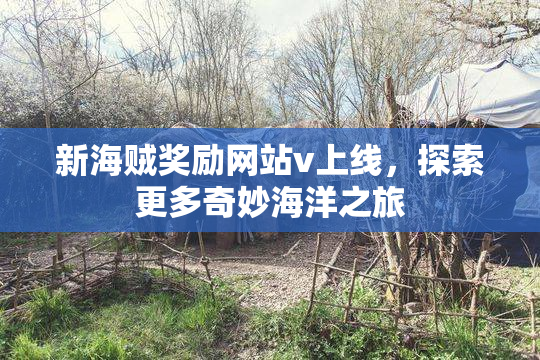 新海贼奖励网站v上线，探索更多奇妙海洋之旅