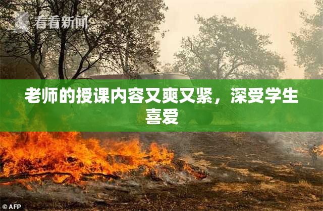 老师的授课内容又爽又紧，深受学生喜爱