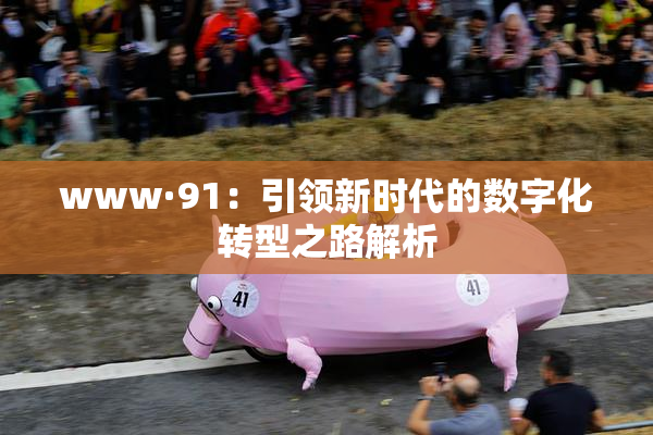 www·91：引领新时代的数字化转型之路解析