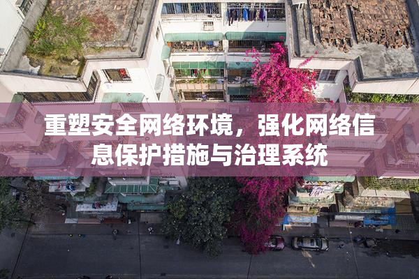 重塑安全网络环境，强化网络信息保护措施与治理系统