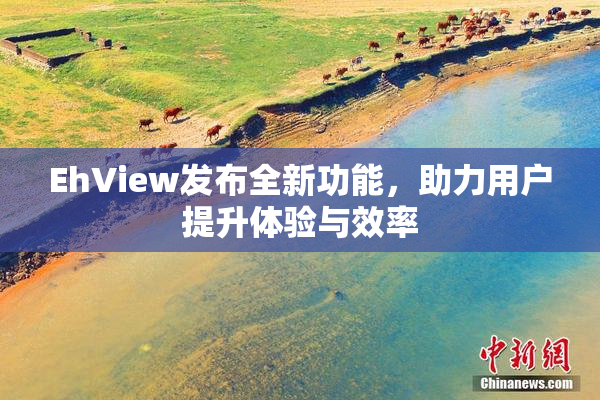 EhView发布全新功能，助力用户提升体验与效率