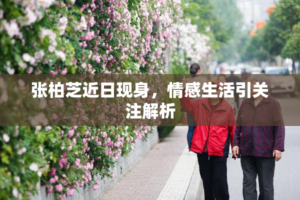 张柏芝近日现身，情感生活引关注解析