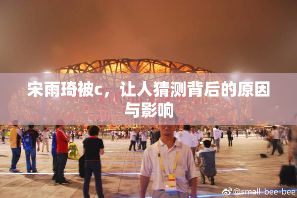 宋雨琦被c，让人猜测背后的原因与影响