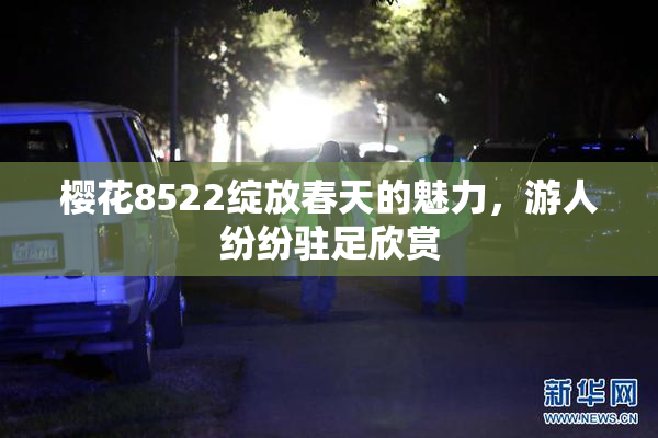 樱花8522绽放春天的魅力，游人纷纷驻足欣赏