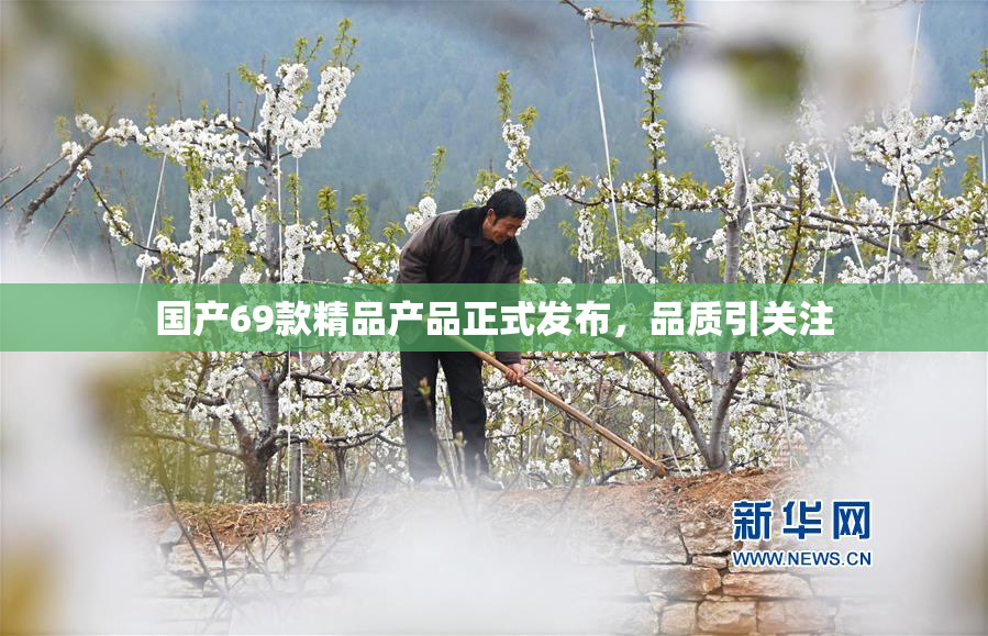 国产69款精品产品正式发布，品质引关注