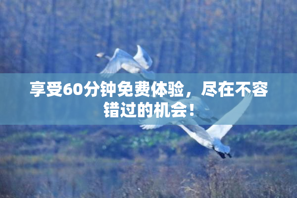 享受60分钟免费体验，尽在不容错过的机会！