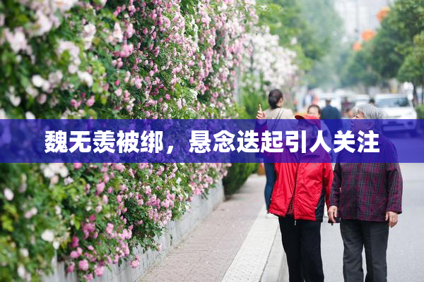 魏无羡被绑，悬念迭起引人关注