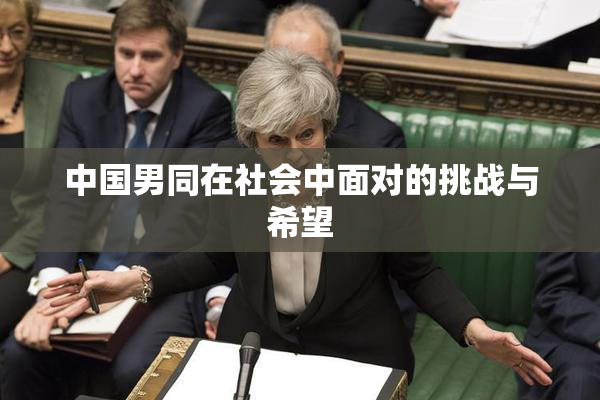 中国男同在社会中面对的挑战与希望