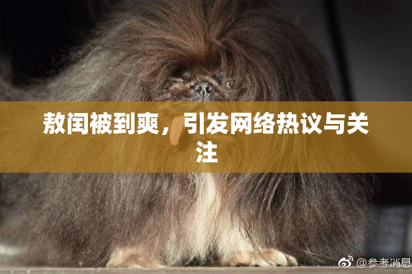敖闰被到爽，引发网络热议与关注