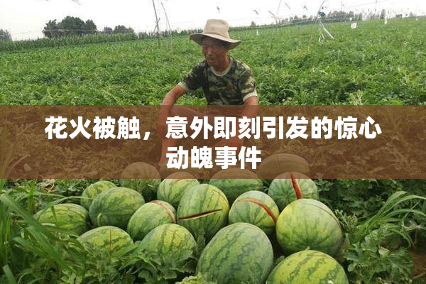 花火被触，意外即刻引发的惊心动魄事件