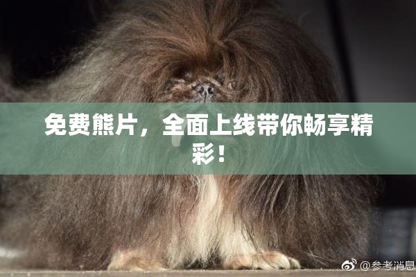 免费熊片，全面上线带你畅享精彩！