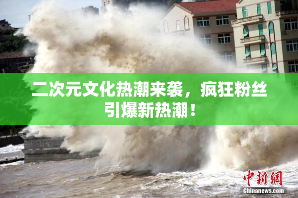 二次元文化热潮来袭，疯狂粉丝引爆新热潮！