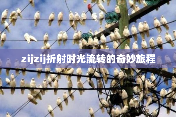 zijzij折射时光流转的奇妙旅程