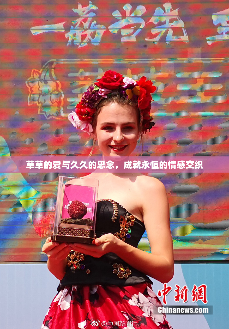草草的爱与久久的思念，成就永恒的情感交织