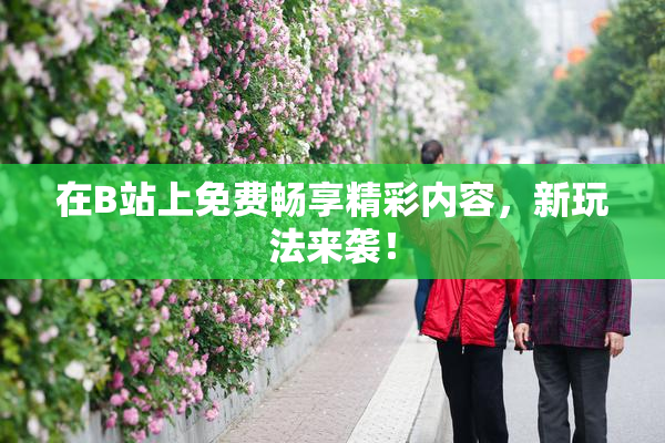 在B站上免费畅享精彩内容，新玩法来袭！