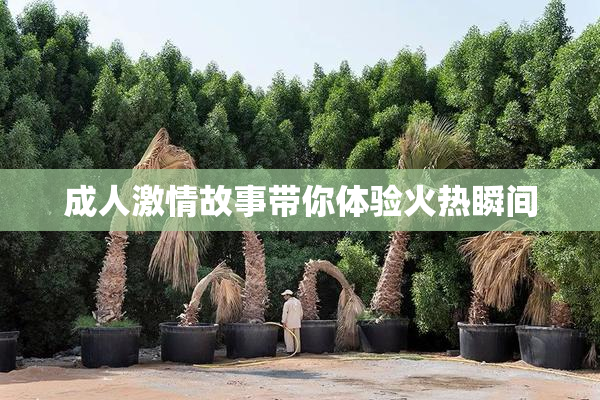 成人激情故事带你体验火热瞬间