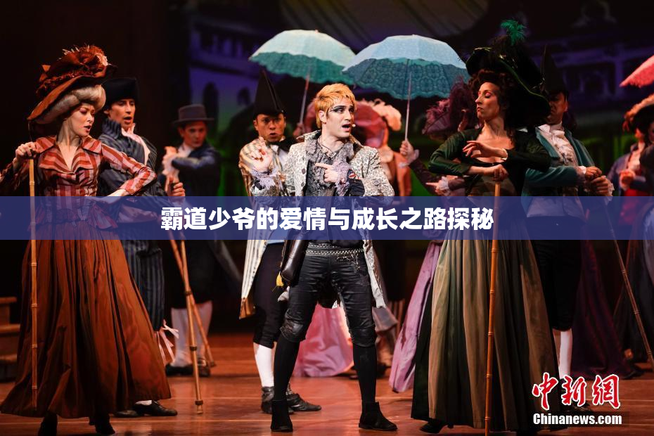 霸道少爷的爱情与成长之路探秘
