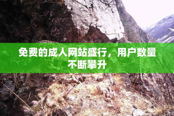 免费的成人网站盛行，用户数量不断攀升
