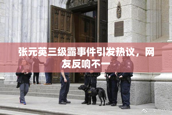 张元英三级露事件引发热议，网友反响不一