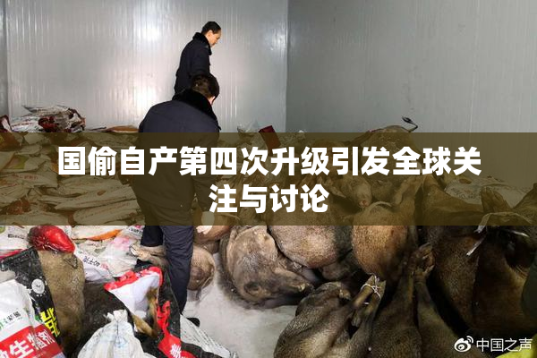 国偷自产第四次升级引发全球关注与讨论