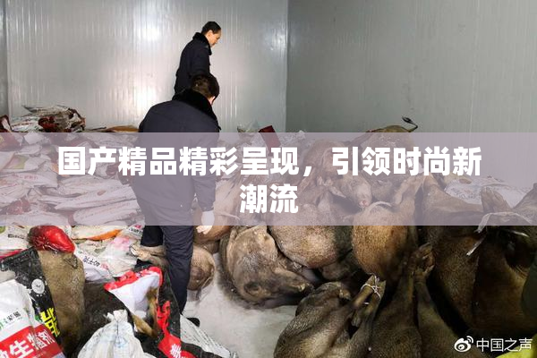 国产精品精彩呈现，引领时尚新潮流