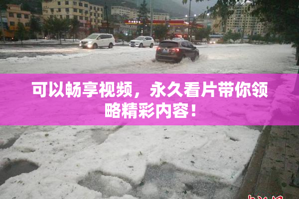 可以畅享视频，永久看片带你领略精彩内容！