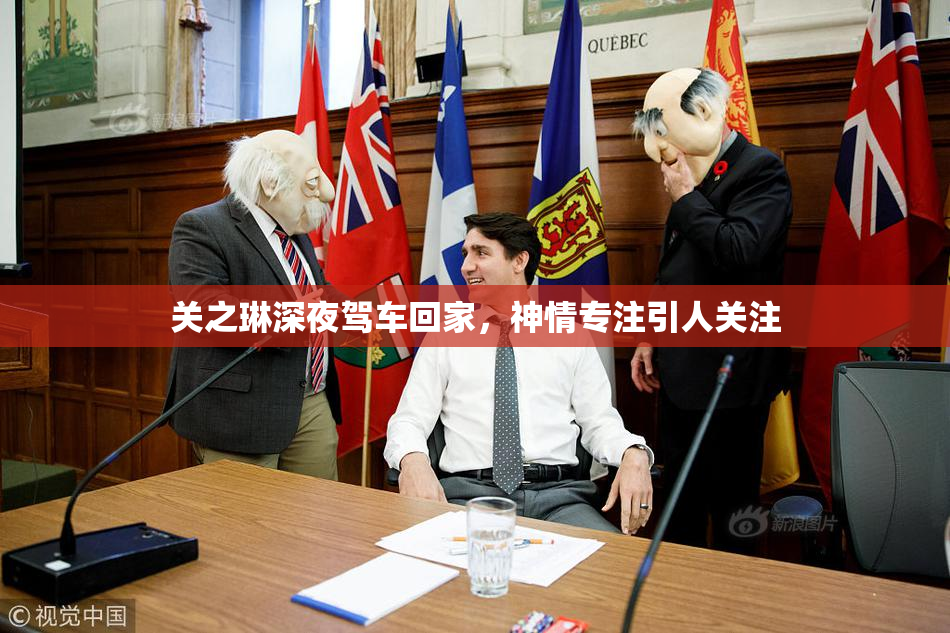 关之琳深夜驾车回家，神情专注引人关注