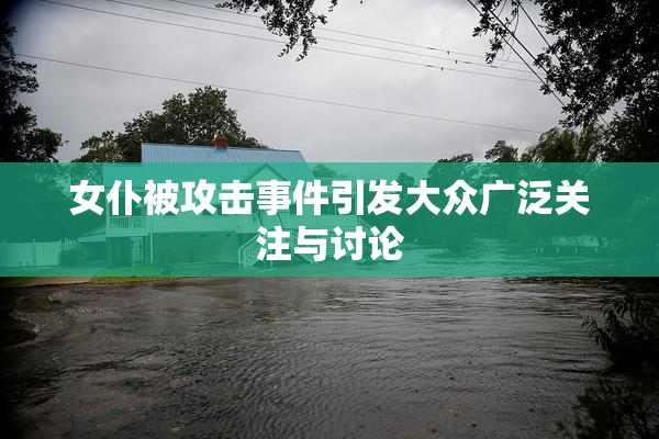女仆被攻击事件引发大众广泛关注与讨论